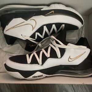 Lebron xvii low